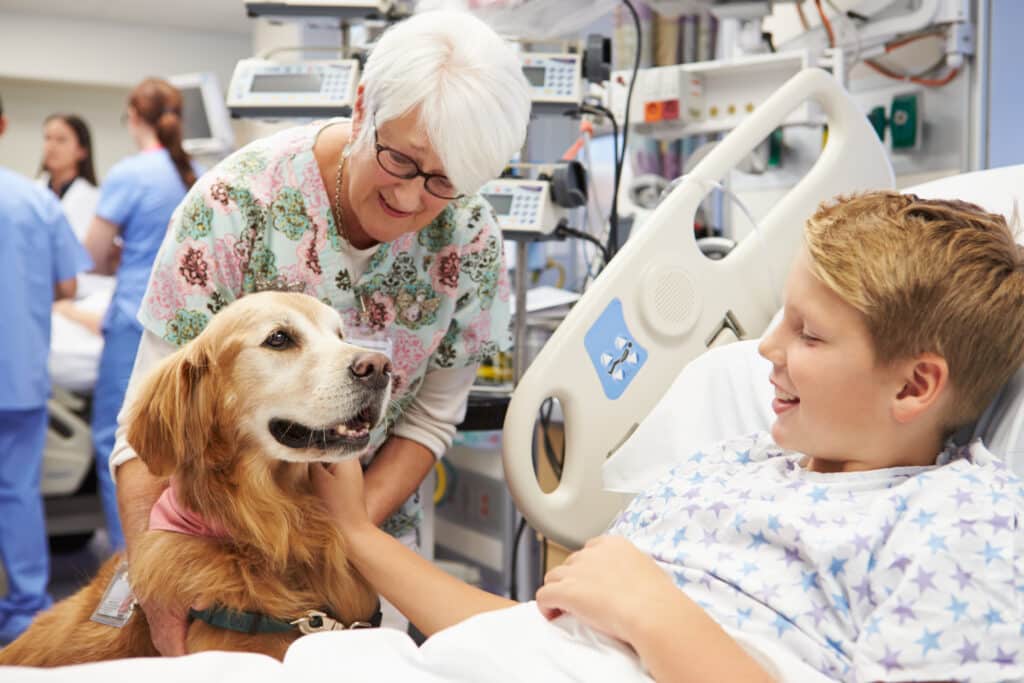 a boy undergoes pet therapy in a hospital bed